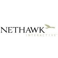 NetHawk