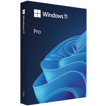 Microsoft Win Pro N 11 64-bit All Languages Online Product Key License 1 License Downloadable ESD NR