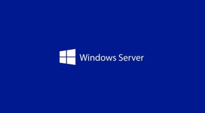 Програмен продукт с лицензен стикер Windows Svr Std 2025 English 1pk DSP OEI 4Cr NoMedia/NoKey (APOS) AddLic