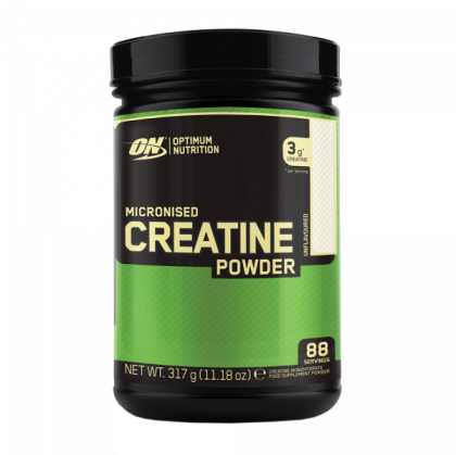 Optimum Nutrition Creatine Powder 317 г
