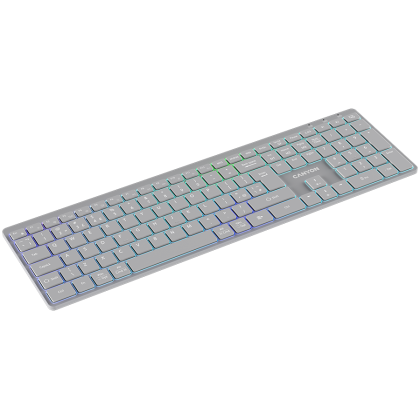 Безжична клавиатура Canyon Bluetooth 2.4GHz RGB Сива (CNS-HBTK11G)