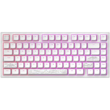 Gaming Mechanical Keyboard Dark Project ALU81A Terra Nostra White RGB
