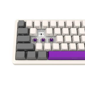 LORGAR KBP70MW, Wireless 65% Mechanical Gaming Keyboard Pro, Beige, EN layout