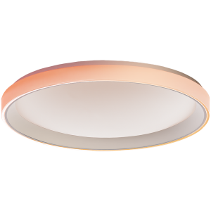 Aqara Ceiling Light T1M: Model No: CL-L02D