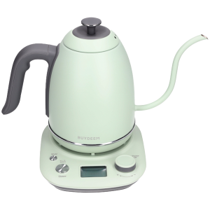 BUYDEEM Electric Gooseneck Coffee Kettle, model K821, color Cozy Greenish EU