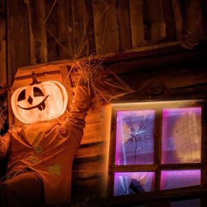 TP LINK TAPO-L920-5 LED strip, WiFi, 5m., 13.5W, RGB