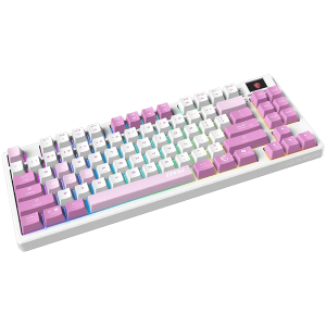MSI FORGE GK600 TKL WIRELESS VIOLET - Hot-Swappable Mechanical Switches, PBT Keycaps, Sound-Dampening Foam and Gaskets, Integrated Display, RGB LED, 2.4GHz, BT, USB-C