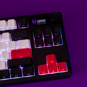 LORGAR KBP70TKLW, Wireless TKL Mechanical Gaming Keyboard Pro, White, EN layout