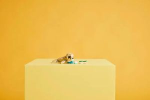 LEGO Creator Bunny - 31162