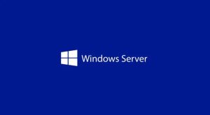 Програмен продукт с лицензен стикер Windows Server CAL 2025 English 1pk DSP OEI 5 Clt User CAL