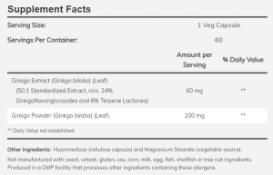 Now Foods NOW Ginkgo Biloba 60 мг 60 Капсули