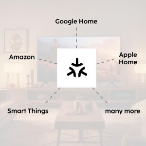 HAMA Смарт мини контакт, Wi-Fi, Гласов контрол, 3680 W, Matter