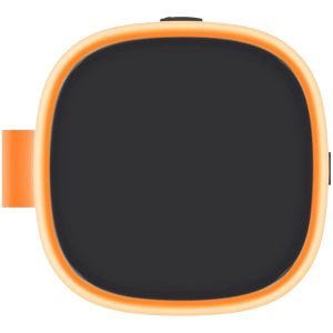 Xiaomi Sound Play 18W (Black)