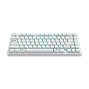 Геймърскa безжична клавиатура Dark Project ALU81A Terra Nova R2 White RGB