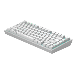 Геймърскa безжична клавиатура Dark Project ALU81A Terra Nova R2 White RGB