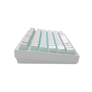 Геймърскa безжична клавиатура Dark Project ALU81A Terra Nova R2 White RGB