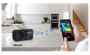 Радио Sharp Radios DR-P420(BK), PORTABLE DIGITAL RADIO, Bluetooth 5.0, 20 DAB+/DAB/FM, Auto time/date, LCD Display, Dual alarm,Micro USB x1 (power supply),3.5mm Headphone jack / line-out, Black