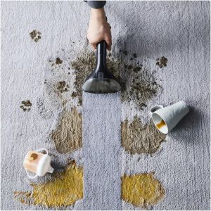 Аксесоар Rowenta XD5320F0 Clean It Pet  Acc