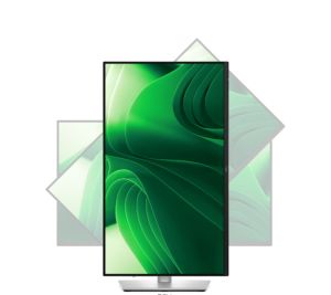 Монитор Dell P Series 23.8" QHD IPS 100Hz (210-BQMX)