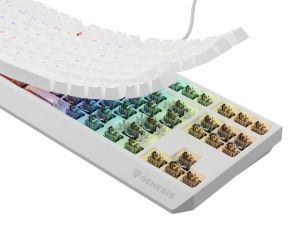 Клавиатура Genesis Gaming Keyboard Thor 230 TKL US RGB Mechanical Outemu Brown White Hot Swap