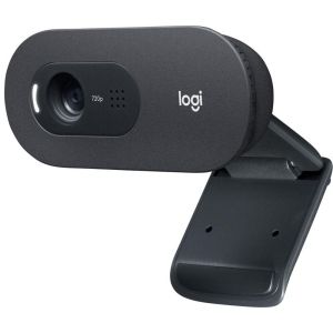 Уеб камера Logitech C505 HD 720p 30fps (960-001364)