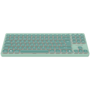 Клавиатура Canyon OnType 10 Механична TKL Low Profile USB (CNS-HKB10GR)