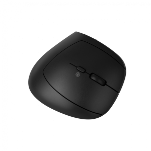 CANYON mouse MW-25 Ergonomic LED AA Dual mode Wireless Black