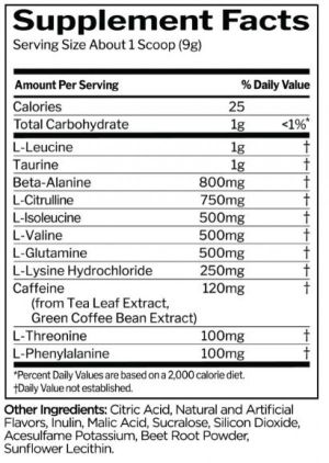 Rule One Energized Amino 9 g