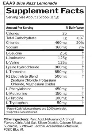 Rule One Essential Amino 9 345 g