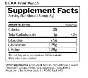 Rule One R1 Bcaa's 432 g