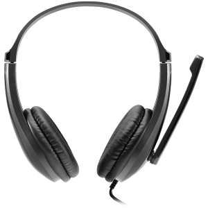 Слушалки с микрофон Canyon USB 2m Черен (CNS-CHSU1B)