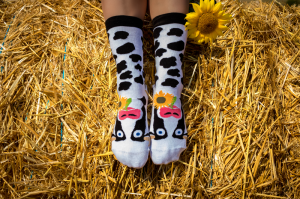 Arty Socks чорапи с Крава