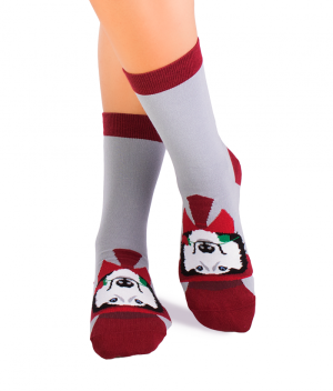 Arty Socks чорапи с Хъски