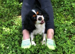 Невидими Памучни чорапи с Рингели - Лайм