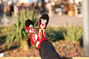 Arty Socks чорапи с Пижо и Пенда - Бордо