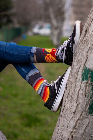Arty Socks чорапи с Петли - Сив