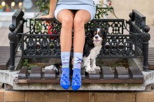 Arty Socks чорапи с Лалета и Мелници - Син