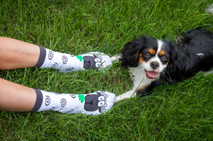 Arty Socks чорапи с Овца