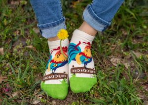 Arty Socks къси чорапи с Петел - Цветен