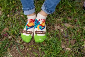 Arty Socks къси чорапи с Петел - Цветен
