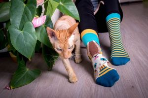Arty Socks чорапи с Котка Сфинкс