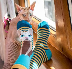 Arty Socks чорапи с Котка Сфинкс