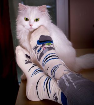 Arty Socks чорапи с Персийска Котка
