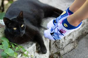Arty Socks къси чорапи Гръцки Вечери - Бял