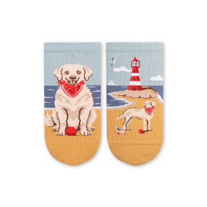 Arty Socks къси чорапи с Голдън Ретривър