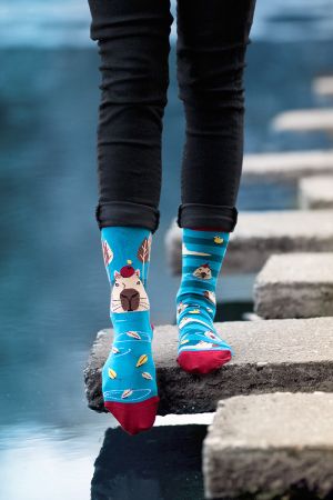 Arty Socks чорапи с Капибарата Георги - Тюркоаз