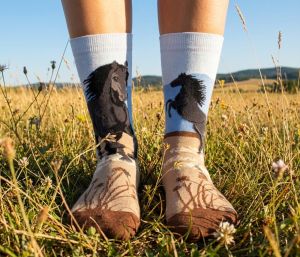 Arty Socks чорапи с Коне