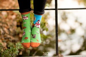 Arty Socks чорапи с Капибарата Георги - Зелен