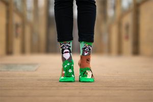 Arty Socks чорапи Влюбени Еноти - Зелен