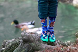 Arty Socks чорапи Влюбени Капибари - Тъмносин
